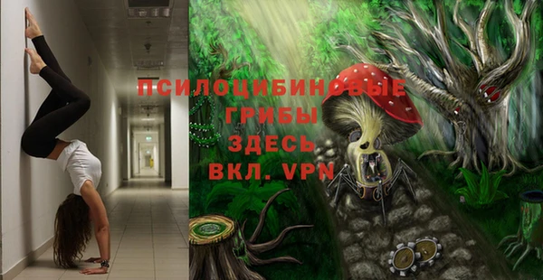 дурь Дмитриев