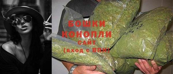 дурь Дмитриев
