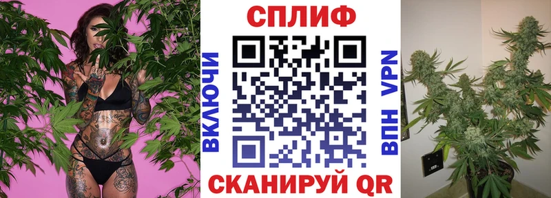 Купить где  Истра  Марихуана Ganja 